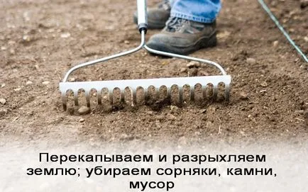 Lawn им ръце снимки, видео инструкция