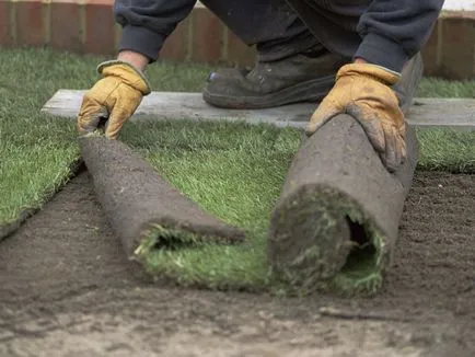 Lawn им ръце снимки, видео инструкция