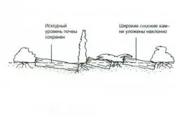 Горки озеленяване алпийски слайд