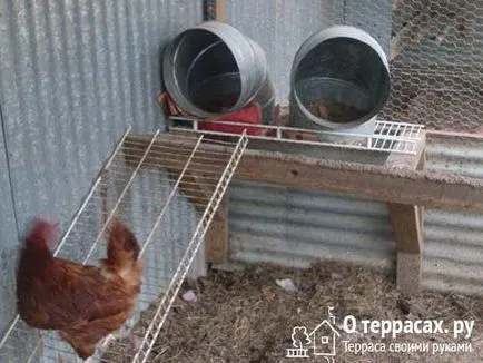 Гнезда за кокошки носачки чертежи, трикове и съвети