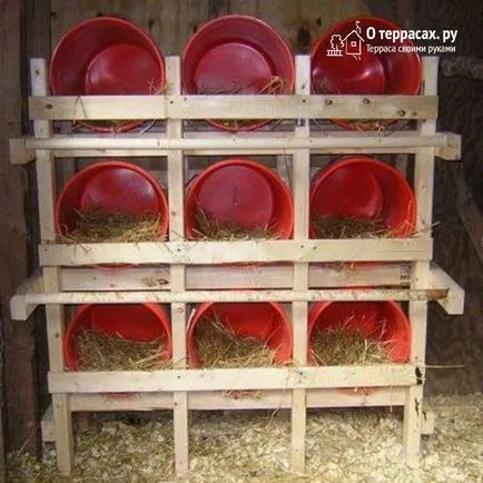 Гнезда за кокошки носачки чертежи, трикове и съвети