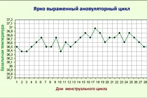 Графиката на базалната температура на тялото