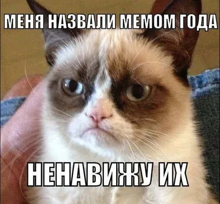 Гръмпи котка, memepedia
