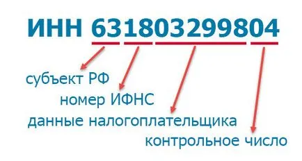 Inn физическо лице, което е, и как да се дешифрира