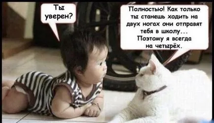 Илюстрации на приказка Котаракът в чизми Images