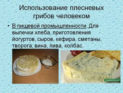 Използването на плесени човек - Представяне 5501-10
