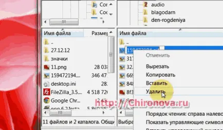 Колко бързо качване на файлове към хостинга и обратно чрез ftp- клиента FileZilla - Интернет технологии
