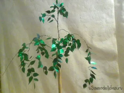Birch на пайети с ръцете си