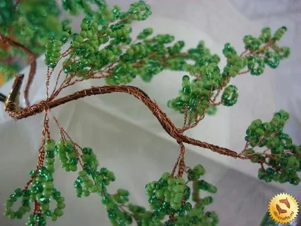 Birch избила с стъпка по стъпка снимка майсторски клас за начинаещи със собствените си ръце
