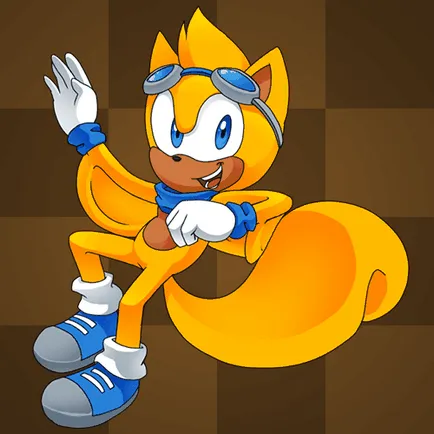 Биография на Sonic герои
