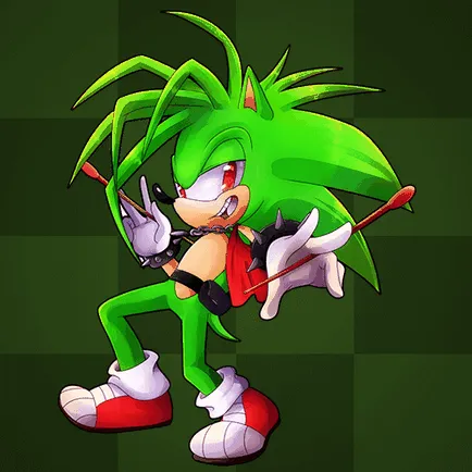 Биография на Sonic герои
