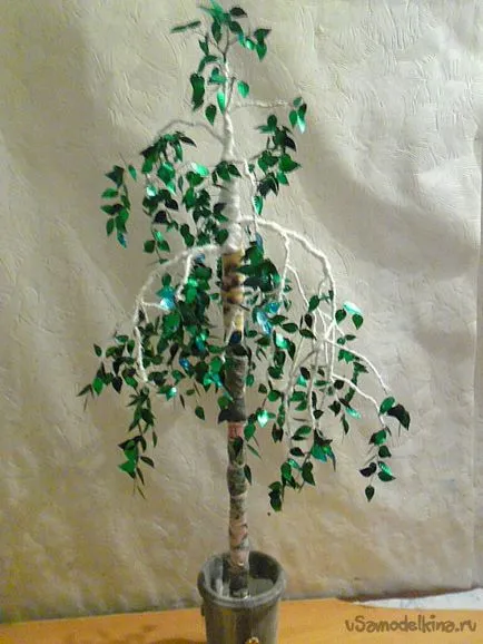 Birch на пайети с ръцете си