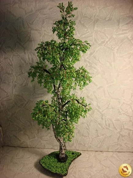 Birch избила с стъпка по стъпка снимка майсторски клас за начинаещи със собствените си ръце