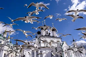 Какво птиците идват при нас през пролетта и на първия ред на пристигане (през пролетта) Какви са птиците идват при нас през пролетта и на първия ред на пристигане