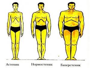 Какви са различните видове тялото и техните характеристики