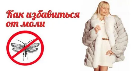 Как да се отървете от молци в къщата завинаги народни средства