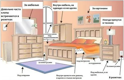 Да се ​​отървем от дървеници описание на методите на борба