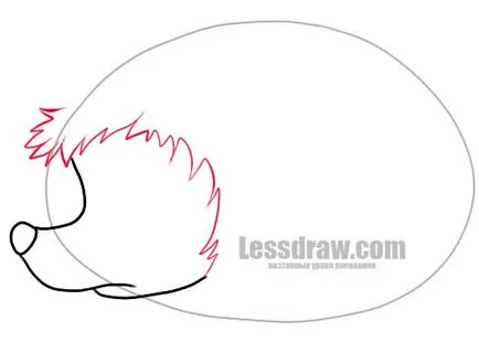 Как да се направи таралеж в етапа, lessdraw