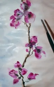 Как да се направи Сакура на етапи