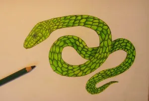 Как да се направи една змия, постепенно се направи с молив, моето бебе
