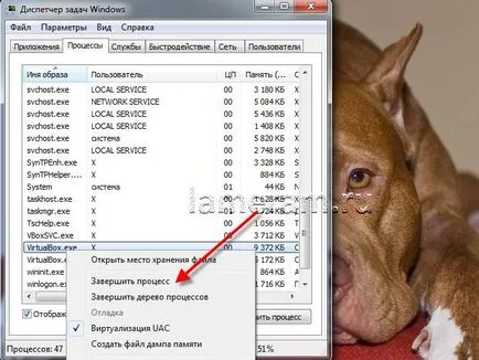 Как да намерите на процеса