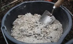 Как да изчистите миризмата на лунна светлина