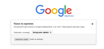Как да определите името на растението, от една снимка или чрез Интернет програма