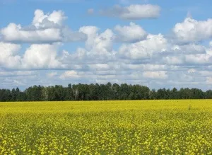 Как е прехвърлянето на права по силата на договор за аренда на земя
