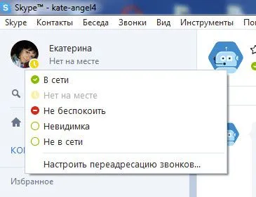 Как да изключите Skype, няколко начина, за да деактивирате скайп (Skype) Как да изключите Skype, няколко начина, за да деактивирате скайп