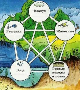 Биосфера и човек