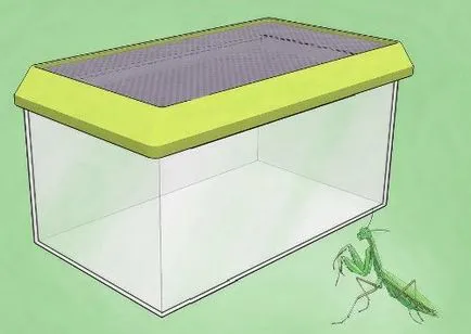 Mantis у дома