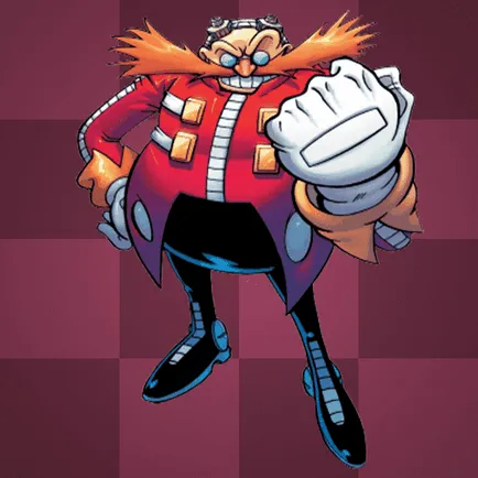 Биография на Sonic герои