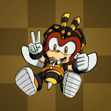 Биография на Sonic герои