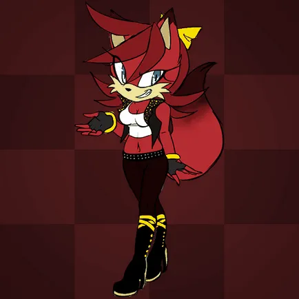 Биография на Sonic герои
