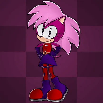 Биография на Sonic герои