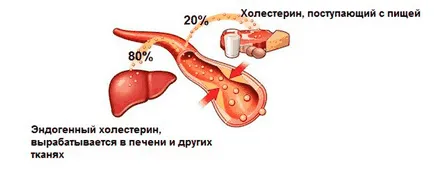 Как да се намали холестерола у дома