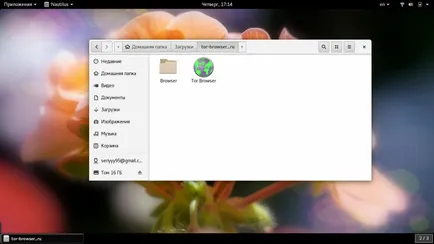 Как да използвате Tor браузъра losst