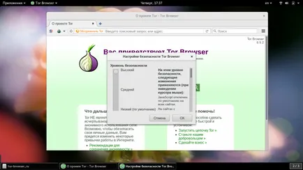 Как да използвате Tor браузъра losst