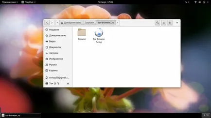 Как да използвате Tor браузъра losst