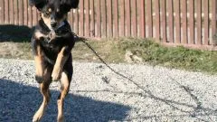 Как да скачат на въже