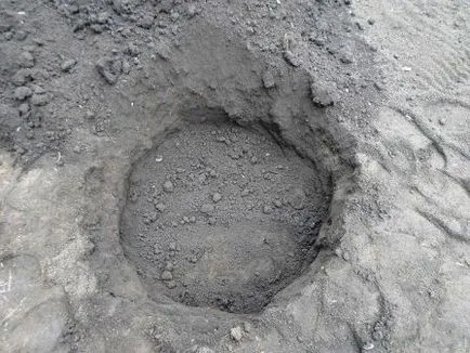 Как да се засадят на пето място в страната западната, снимка, ден на летовник