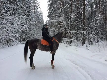 Как да седнете на кон