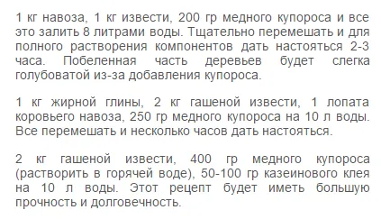Как да си направим разтвор за да се оправдаят хаотичните дървета