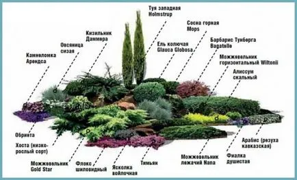 Как да си направим алпинеум в страната със собствените си ръце, стъпка по стъпка снимка