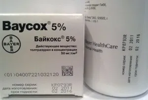 Заболявания зайци лечение и профилактика