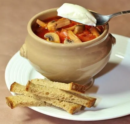 Борш са различни 8-вкусните рецепти борш, електронни пъти