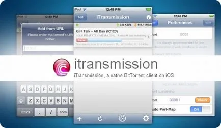 Как да изтеглите торент клиент за IPAD и да ги ползват полезни статии IPAD