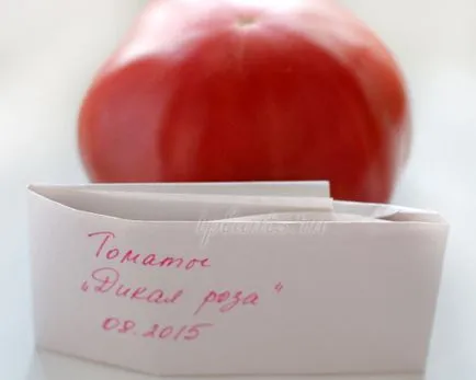 Как да се събират семена от домати - подбор домати узряват плодовете, ферментация, съхранение (доматен) Как да се събират семена от домати - подбор домати узряват плодовете, ферментация, съхранение