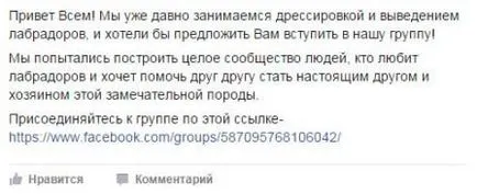 Как да създадете Facebook група и да направи популярна - как да се създаде уеб сайт и да го направи rasskrutit