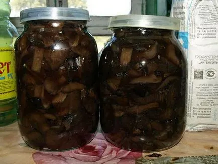 Като сол svinuhi у дома и просто вкусни (svinuhi) Като сол svinuhi у дома и просто вкусни